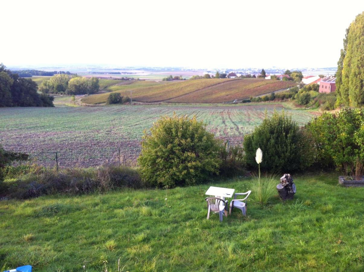 Villa Reims Epernay Champagne Vineyard Villers-Allerand 외부 사진